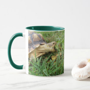 Sulcata Tortoise, Mouth Open, Grazing in Grass Mugg