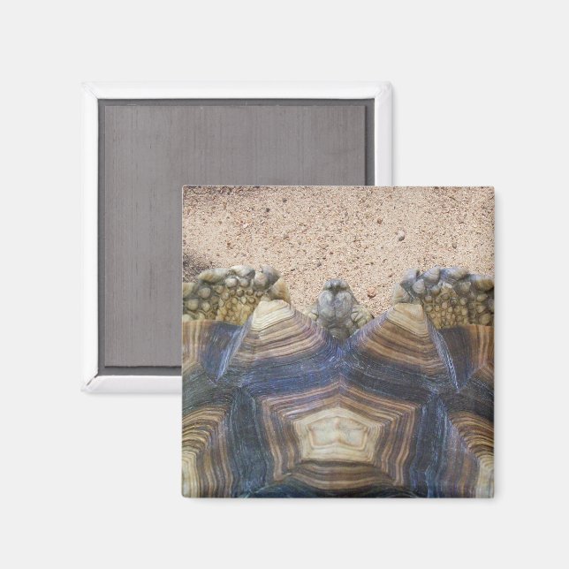 Sulcata Tortoise och Sand Magnet (Front/Back)