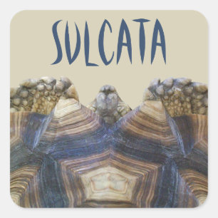 Sulcata Tortoise Stickers Fyrkantigt Klistermärke
