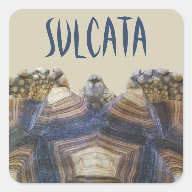 Sulcata Tortoise Stickers Fyrkantigt Klistermärke (Framsida)