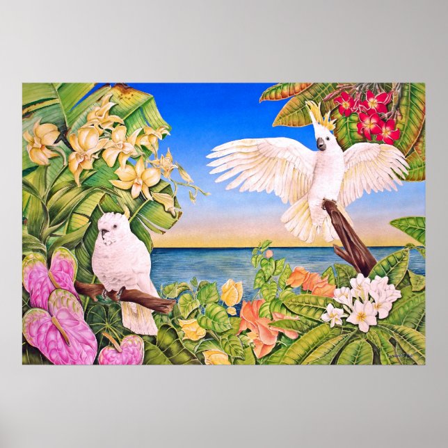 Sulfer-crested Cockatoos Poster (Framsidan)