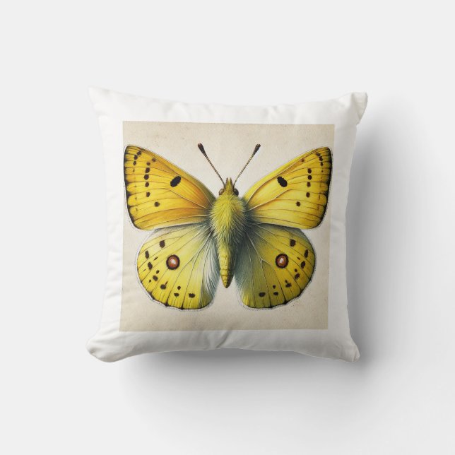 Sulfur butterfly Colias 130924IREF208 - Watercolor Kudde (Framsida)