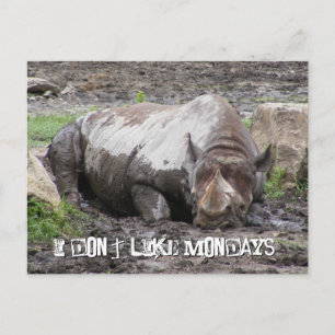 Sulking Rhino-vykort Vykort