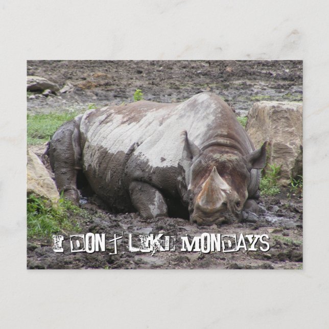 Sulking Rhino-vykort Vykort (Framsida)