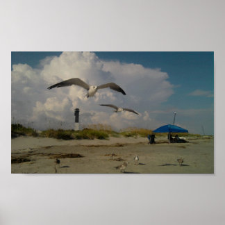 Sullivans Island, SC Poster