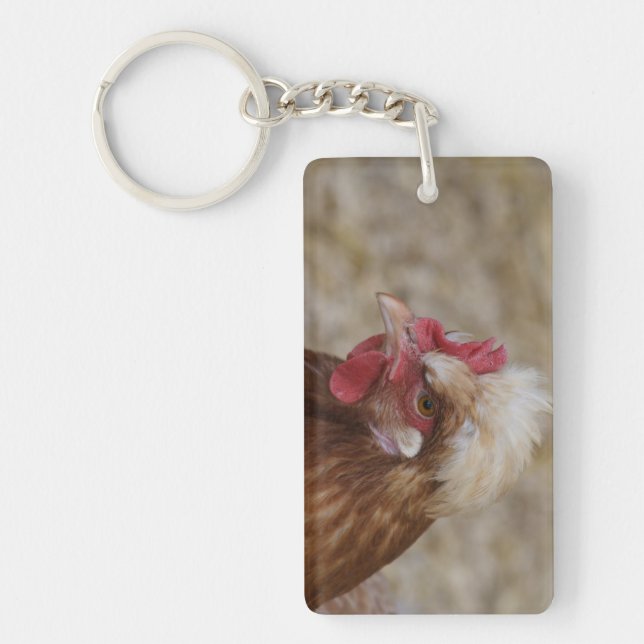 Sulmtaler Hen (Framsidan)