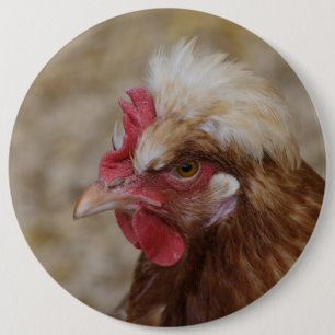 Sulmtaler Hen Knapp