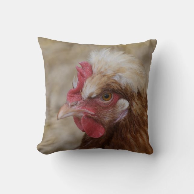 Sulmtaler Hen Kudde (Framsida)