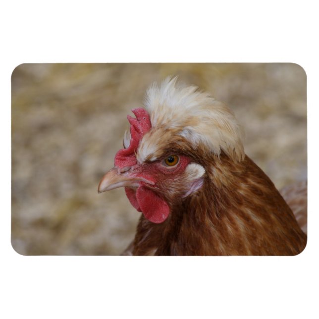 Sulmtaler Hen Magnet (Horisontell)