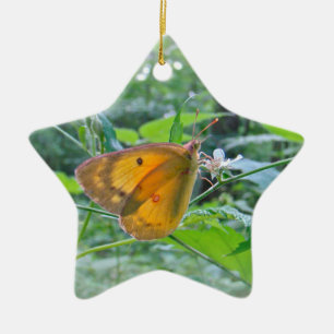 Sulpher Butterfly Julgransprydnad Keramik