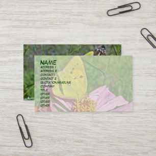 Sulpher Butterfly Visitkort