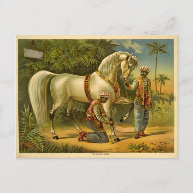 Sultanens styrda vykort för 2012 (Framsida)