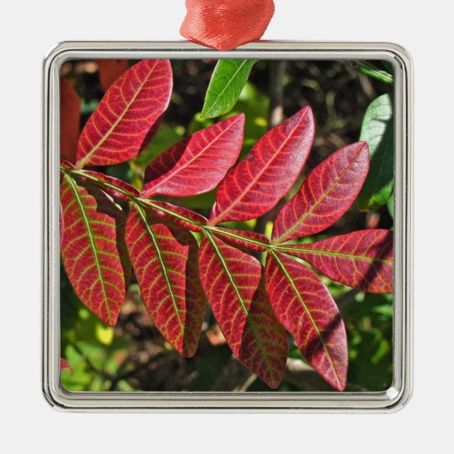Sumac Löv på hösten Julgransprydnad Metall (Framsidan)