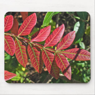 Sumac Löv på hösten Musmatta