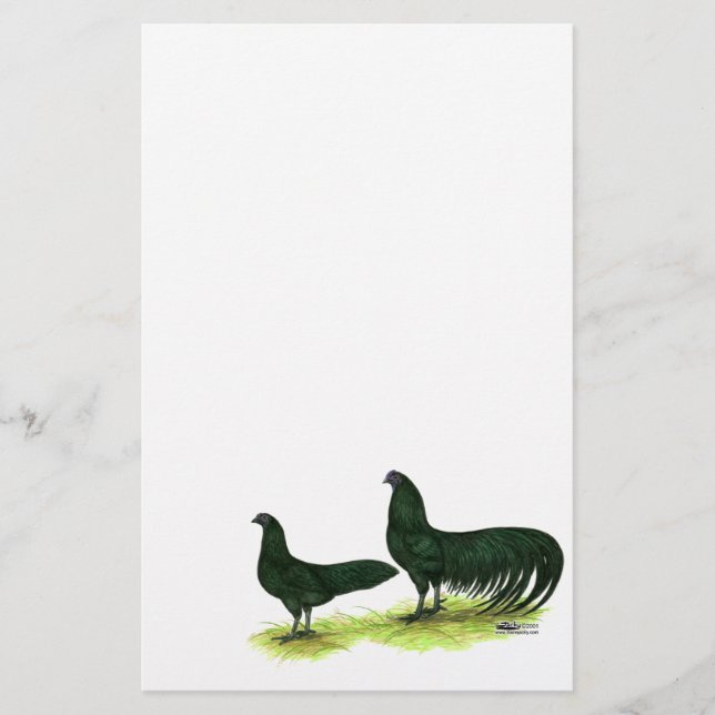 Sumatra Black Chickens (Framsida)