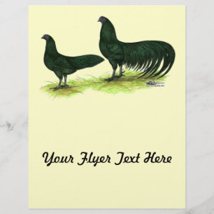 Sumatra Black Chickens Reklamblad