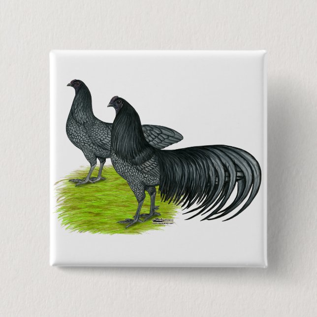 Sumatra: Blue Pair Knapp (Framsida)