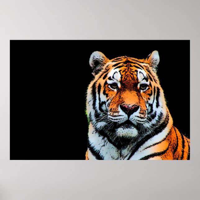 Sumatran Borneo Tiger Poster (Framsidan)