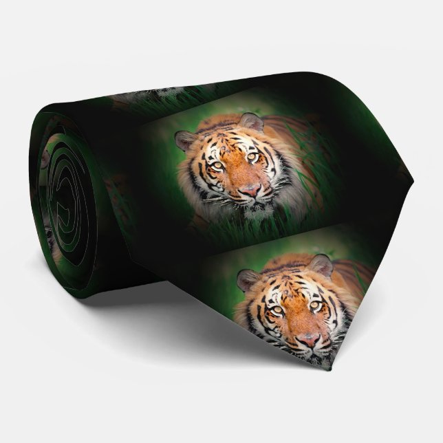 Sumatran Borneo Tiger Slips (Rullad)