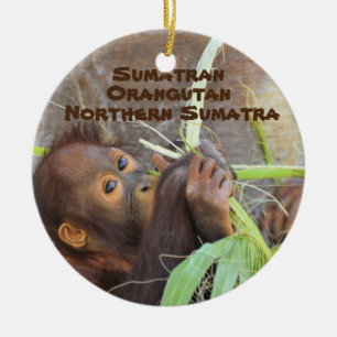 Sumatran Orangutan i serien utrotningshotade arter Julgransprydnad Keramik