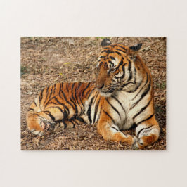 Sumatran Tiger 2 Pussel