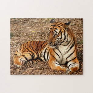 Sumatran Tiger 2 Pussel