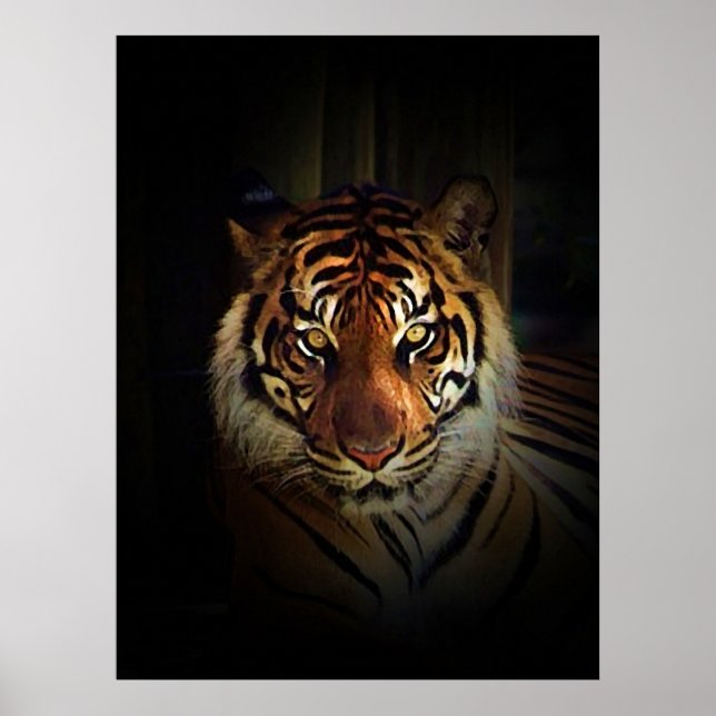 Sumatran Tiger Affisch Print (Framsidan)
