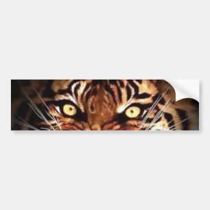 Sumatran Tiger Eyes Bildäckslim Bildekal