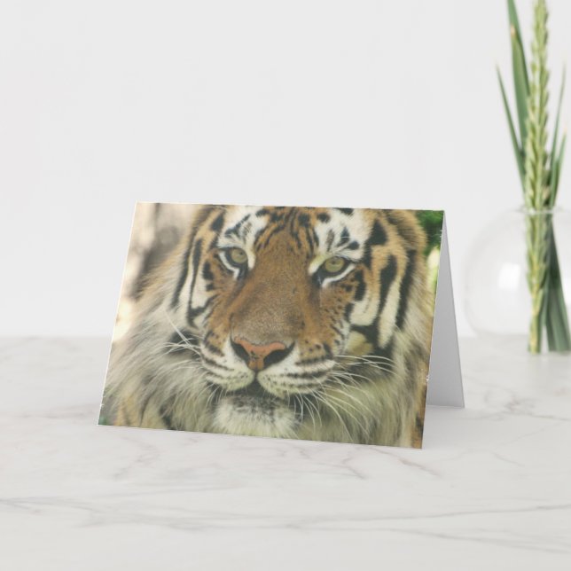 Sumatran Tiger Greeting Cards Kort (Framsida)