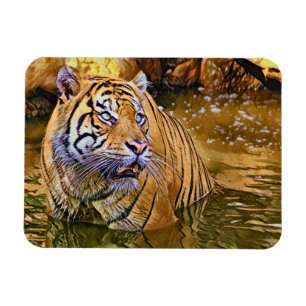 Sumatran Tiger i vatten-målning Magnet
