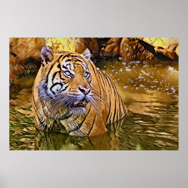 Sumatran Tiger i vatten-målning Poster (Framsidan)