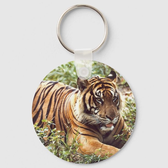 Sumatran Tiger Keychain Nyckelring (Framsida)