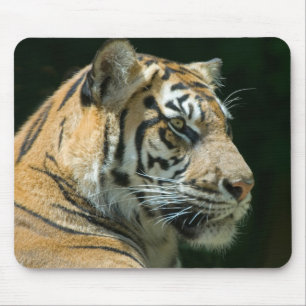Sumatran tiger Mousepad Musmatta