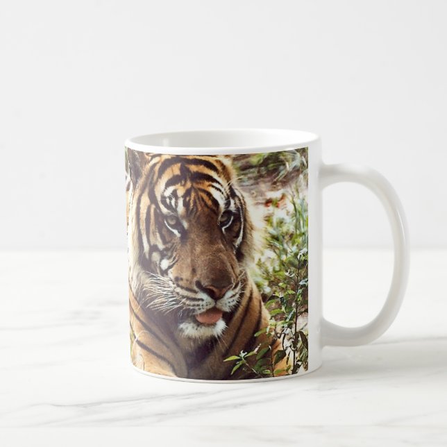 Sumatran Tiger Mugg (Höger)