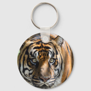 Sumatran Tiger Nyckelring