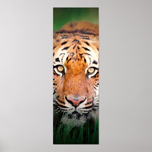 Sumatran Tiger Ögon Poster (Framsidan)