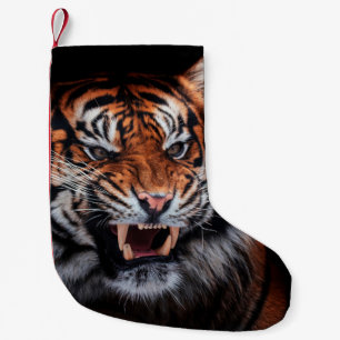 Sumatran tiger (Panthera tigris sumatrae) beautifu Liten Julstrumpa