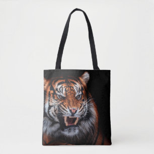 Sumatran tiger (Panthera tigris sumatrae) beautifu Tygkasse