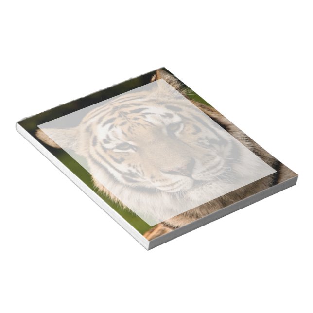 Sumatran Tiger Porträtt Anteckningsblock (Vinklad)