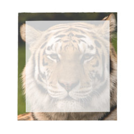 Sumatran Tiger Porträtt Anteckningsblock