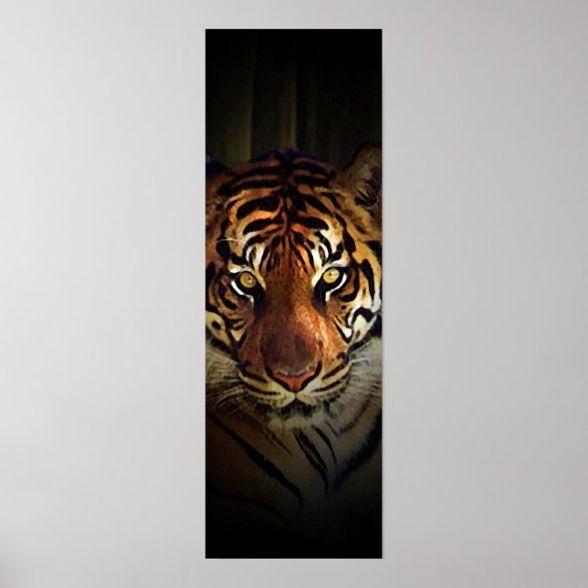 Sumatran Tiger Poster (Framsidan)