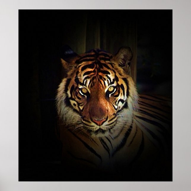 Sumatran Tiger Poster Skriv ut (Framsidan)