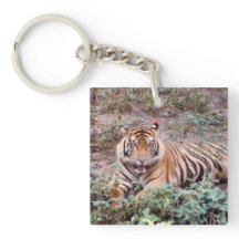 Sumatran tiger Square (dubbla-sidig) Keychain
