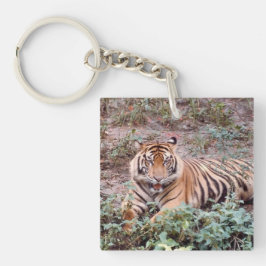 Sumatran tiger Square (dubbla-sidig) Keychain