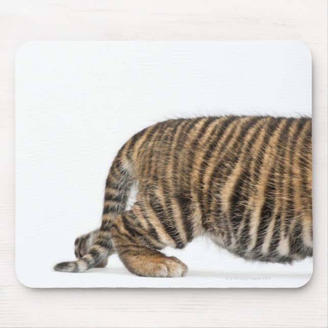 Sumatran Tiger unge 2 Musmatta (Framsidan)