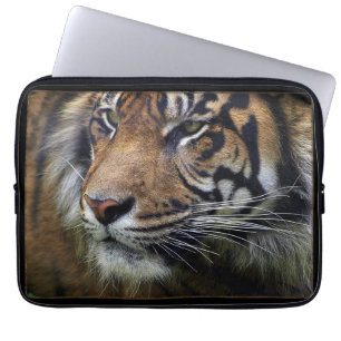 Sumatran Tiger Vild Animal Big Cat-Älskare Laptop Sleeve