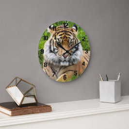 Sumatran Tiger Vilda Djurfoto Stor Klocka
