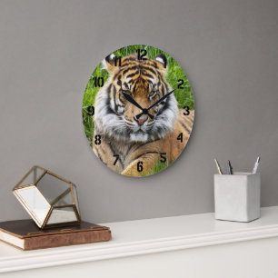 Sumatran Tiger Vilda Djurfoto Stor Klocka