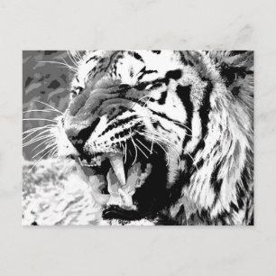 Sumatran Tiger Vykort