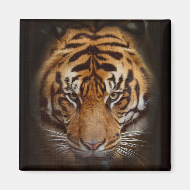 Sumatran Tiger Wildlife Big Cat Älskare Photo Magnet (Framsidan)